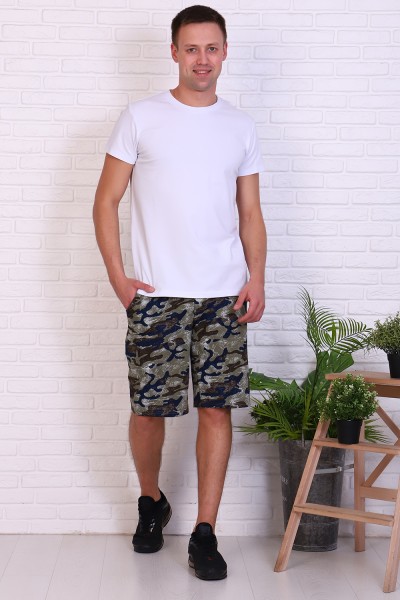 Шорты мужские 11196 НТ синий