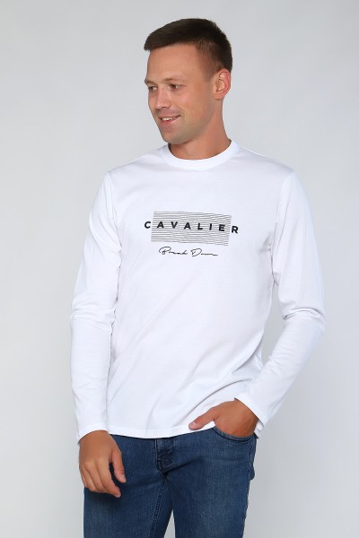 Мужской лонгслив 55063 НТ